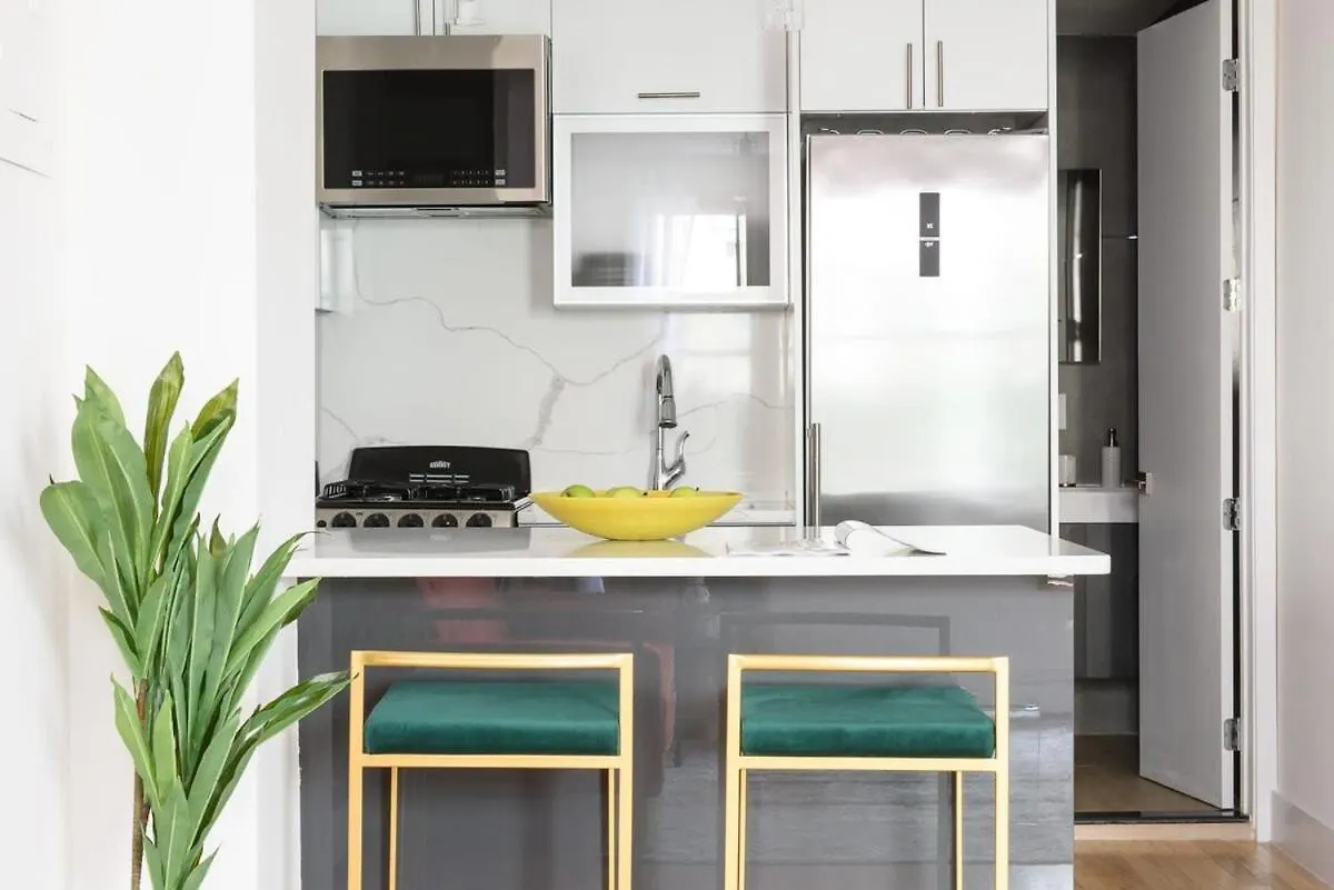 1597-Phs New 1Br-2Bath Ph Duplex Outdoor Deck Apartment New York United States